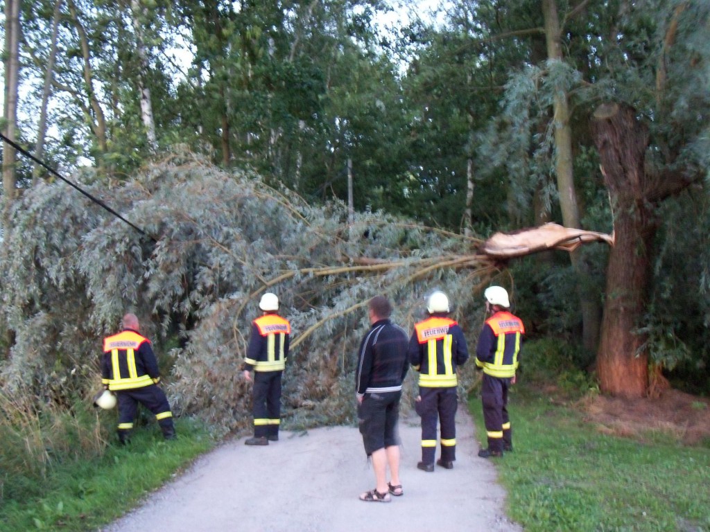 Kein Pappelstiel, aber für die Feuerwehr kein Problem